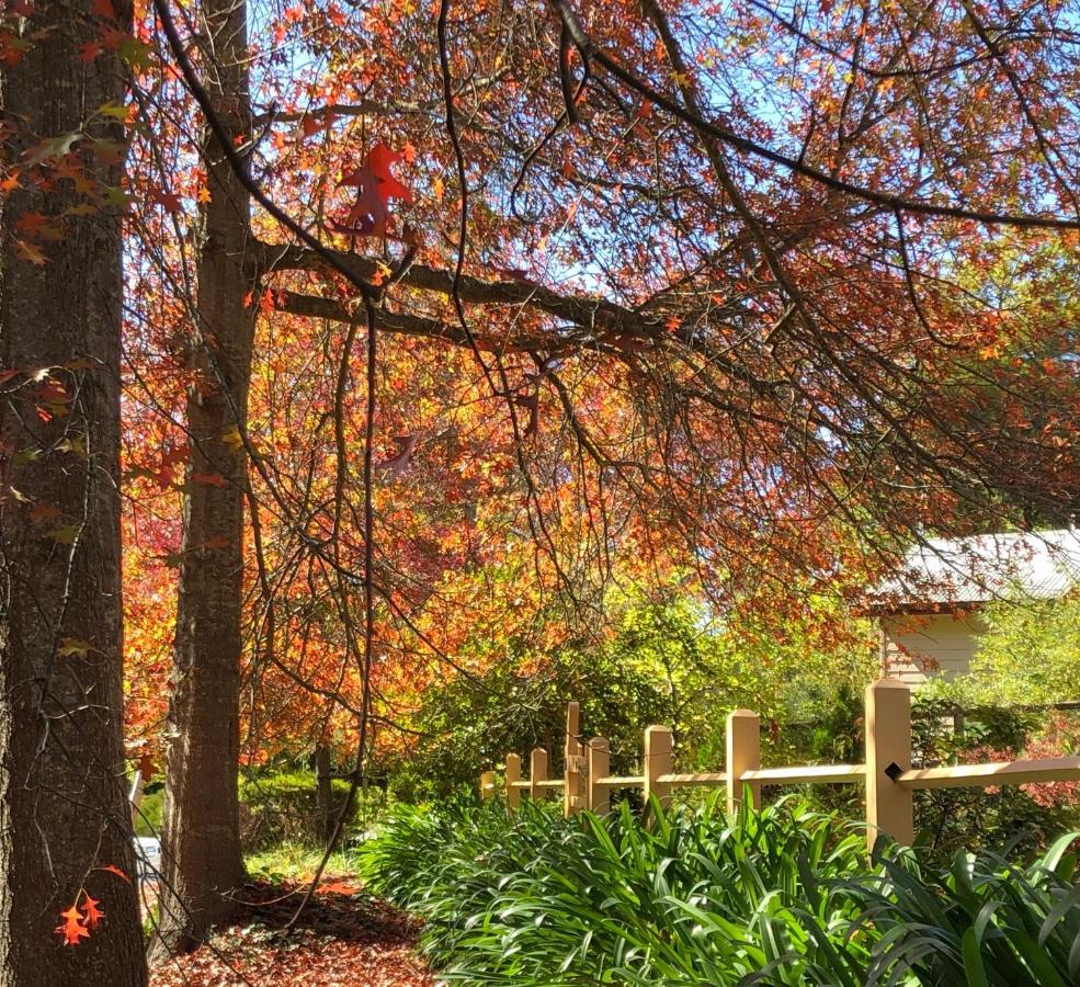 Aldgate Creek Cottage Bed And Breakfast Exterior foto